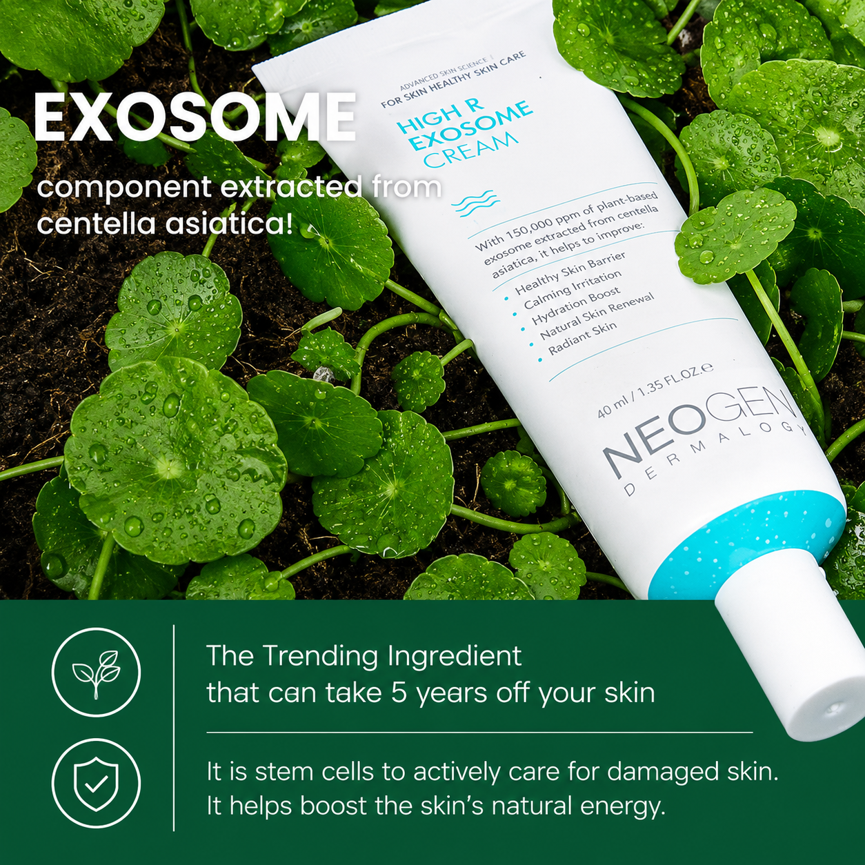 Neogen - Dermalogy High R Exosome Cream (40ml)